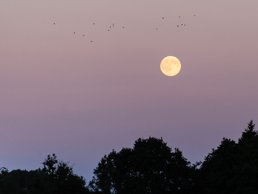 2016-07-19_21-49-45_25940