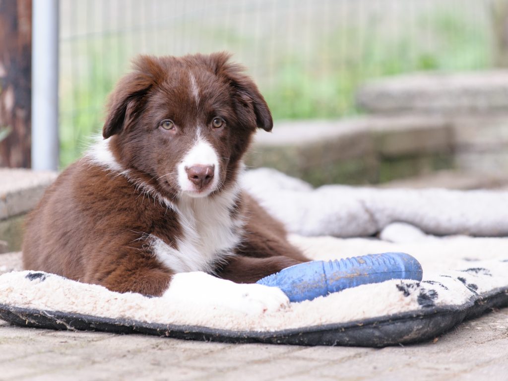 2016-08-13_11-44-13_26083