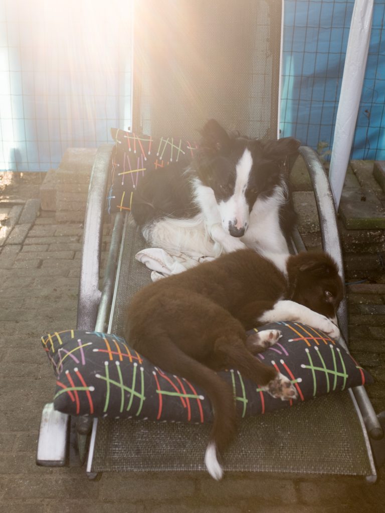 'Barst! Rupsbanden! Er zitten verdorie rupsbanden onder!'