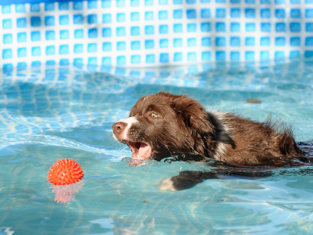 2016-08-24_17-51-45_26363