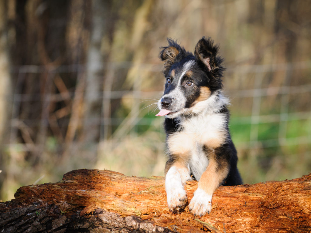 2015-12-13_14-20-15_24288-2