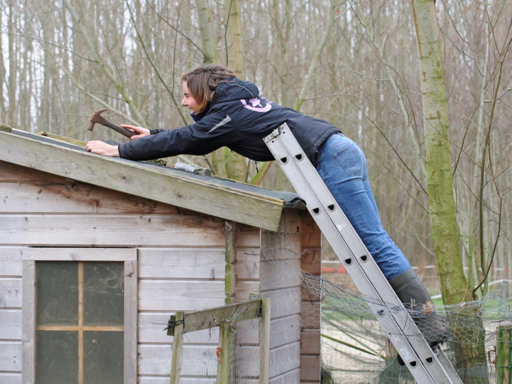 2015-12-24_12-51-17_24502-bewerkt