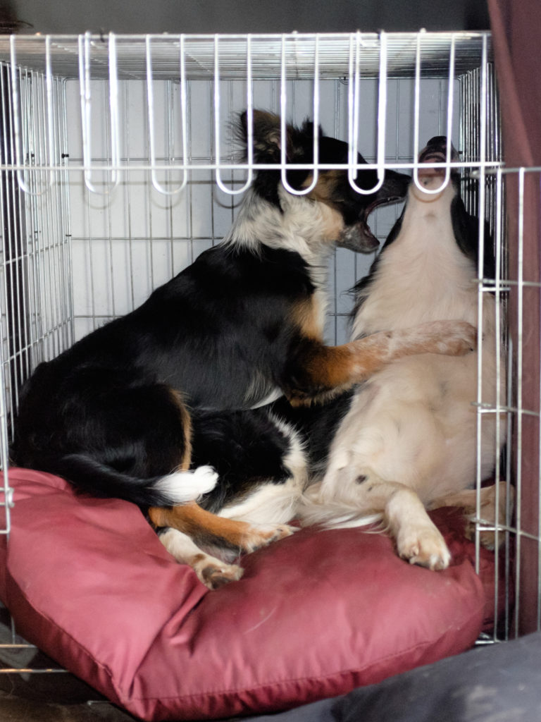 2016-01-16_13-56-02_24757