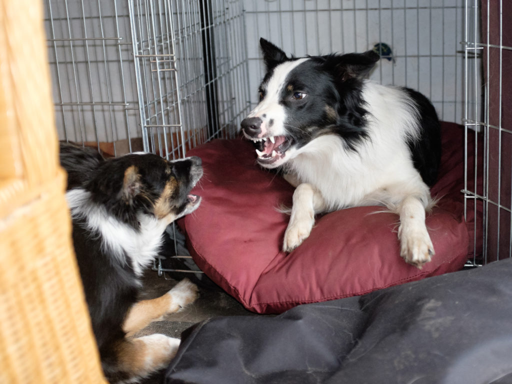 2016-01-16_13-56-57_24758