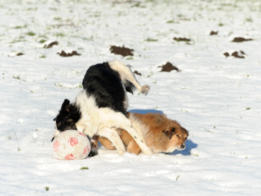 2016-01-17_14-53-08_24771