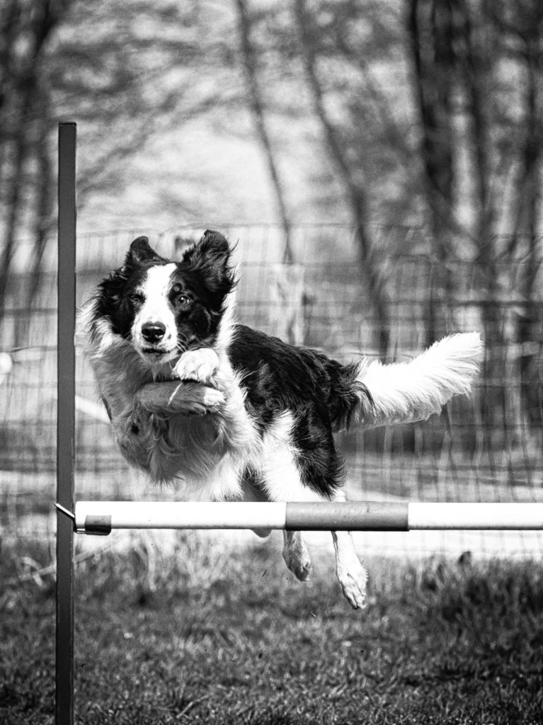 2016-04-09_14-24-52_25365-bewerkt