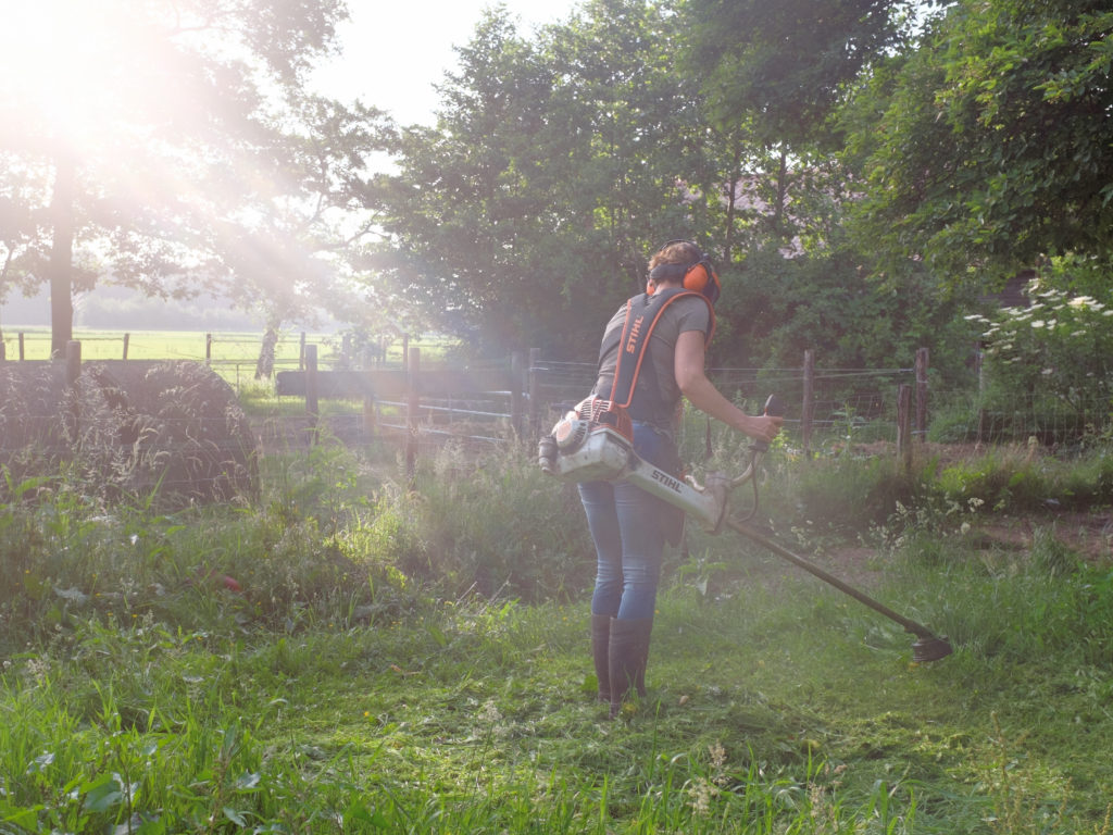 2016-06-06_18-23-56_25705-bewerkt