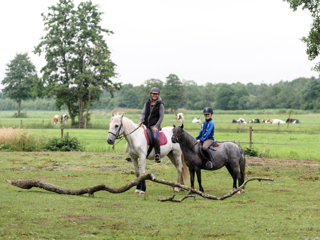 2016-06-25_12-19-09_25833