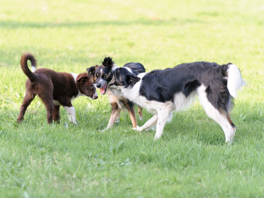 2016-08-31_18-08-17_26390