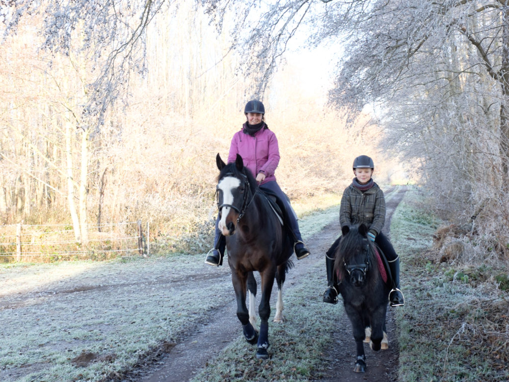 2016-12-04_12-02-10_26761