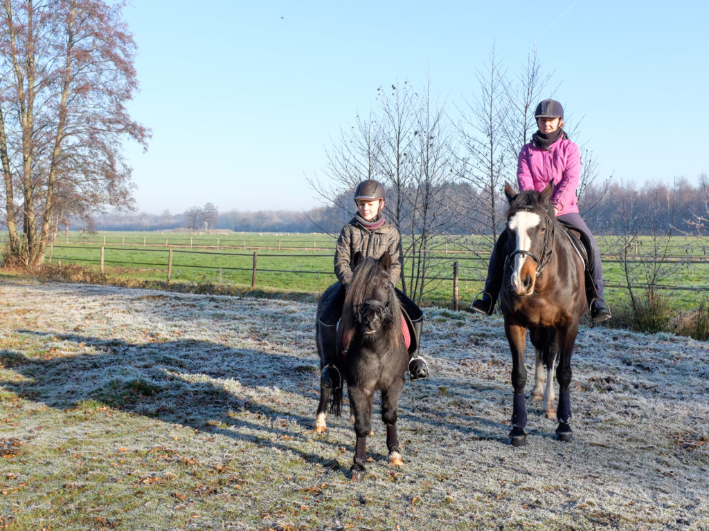 2016-12-04_12-05-24_26767