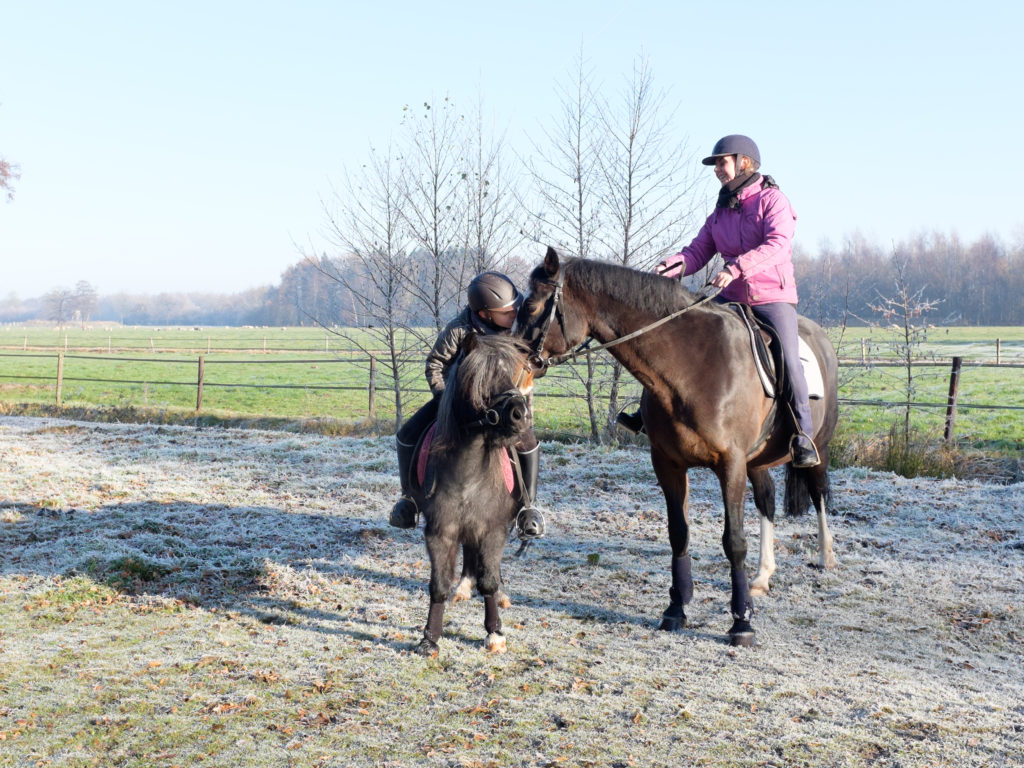 2016-12-04_12-06-06_26771